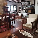 Luxury Apartment