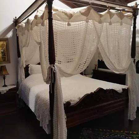 Luxury Marónia