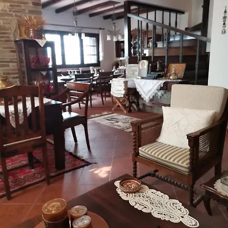 Luxury Apartment